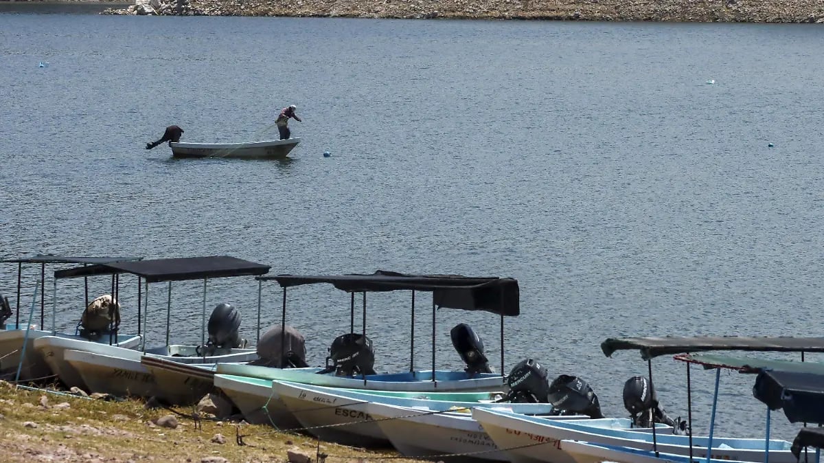 Two ducks swimming in calm water near beached tour boats with passengers waiting on the shore
