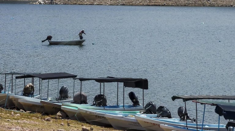 Two ducks swimming in calm water near beached tour boats with passengers waiting on the shore